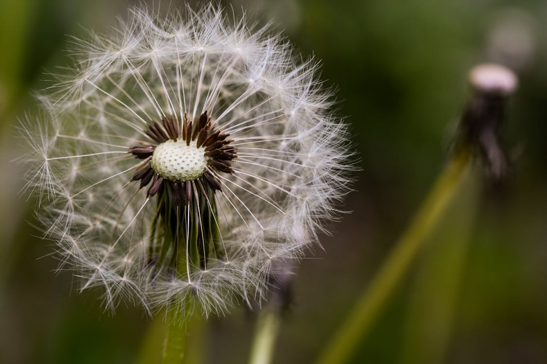 The Principle of Detachment