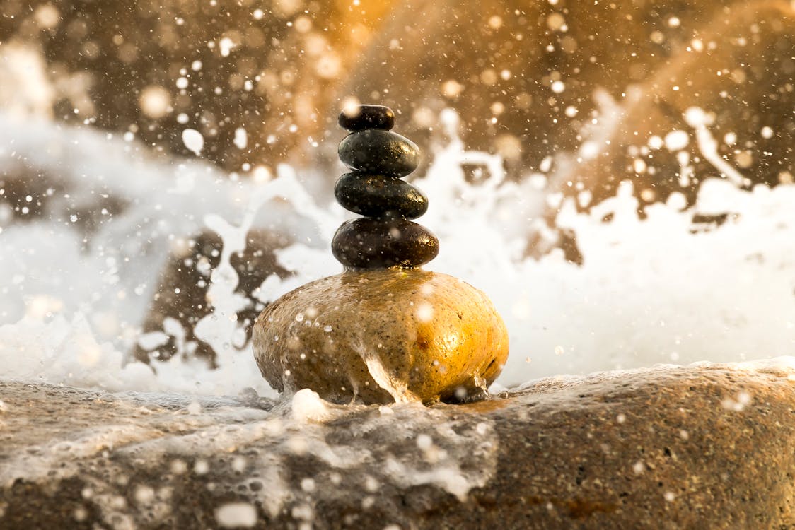 The Principle of Mindfulness