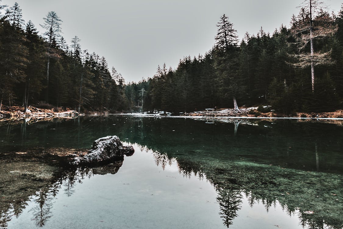 The Principle of Self-Awareness