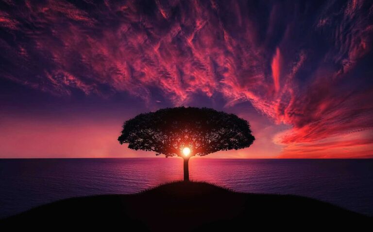 I Am Anchored in Hope (Hebrews 6:19)