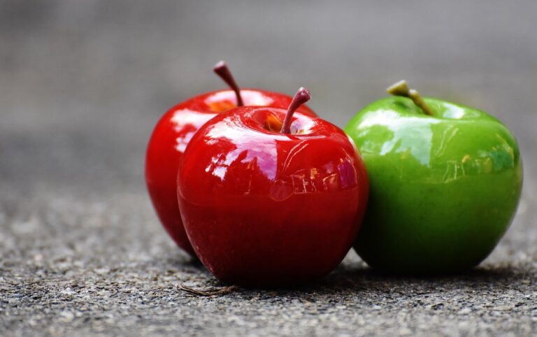 I Am Fruitful (John 15:5)