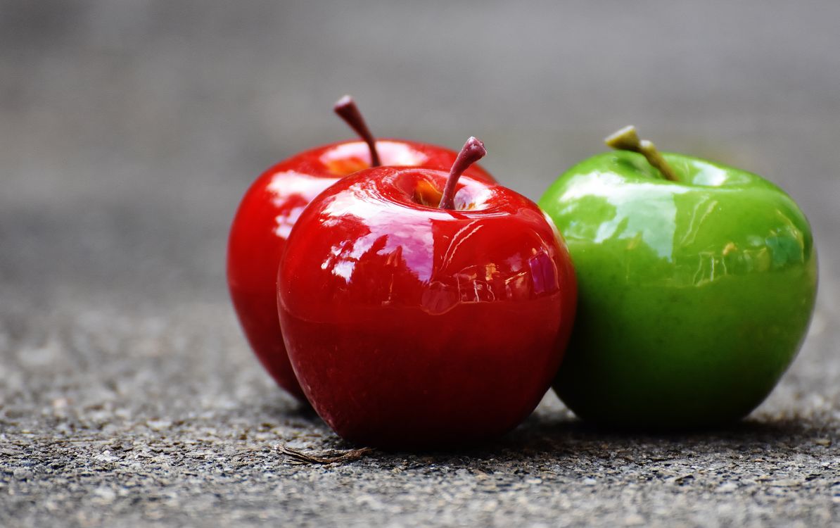 Apple tree orchard