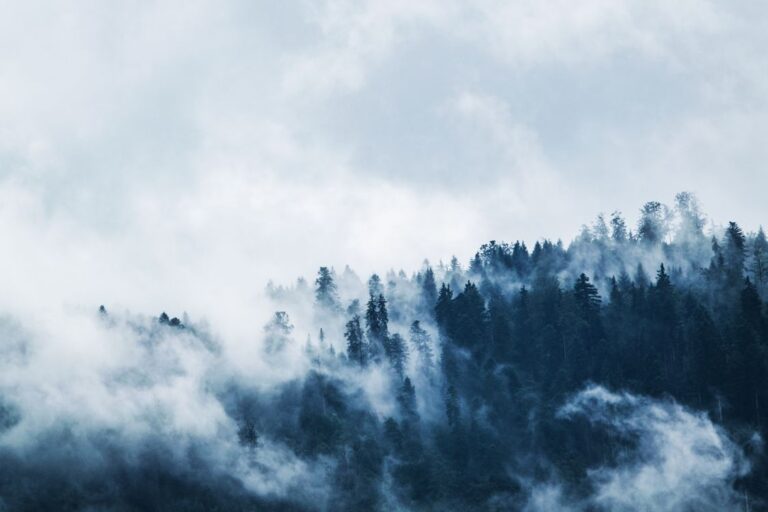 I Am Guided (Proverbs 3:5–6)