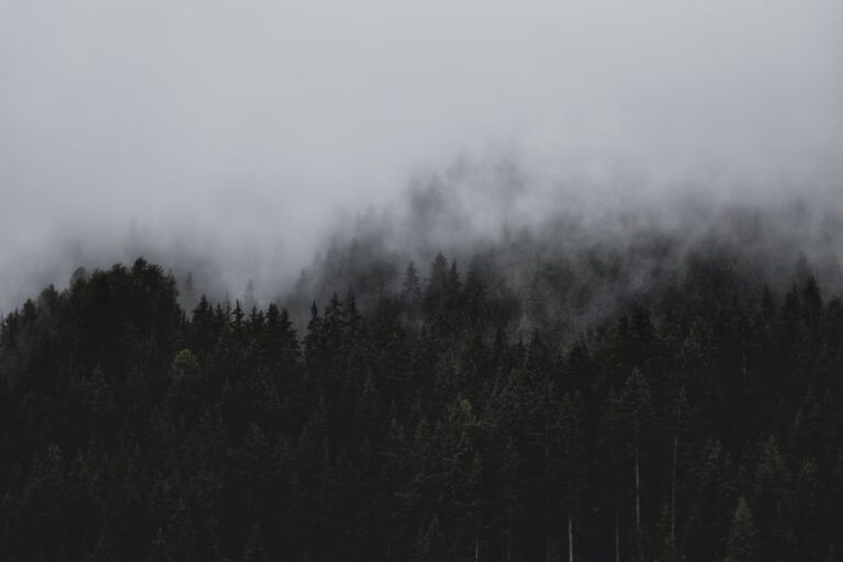 I Am Sustained (Psalm 55:22)