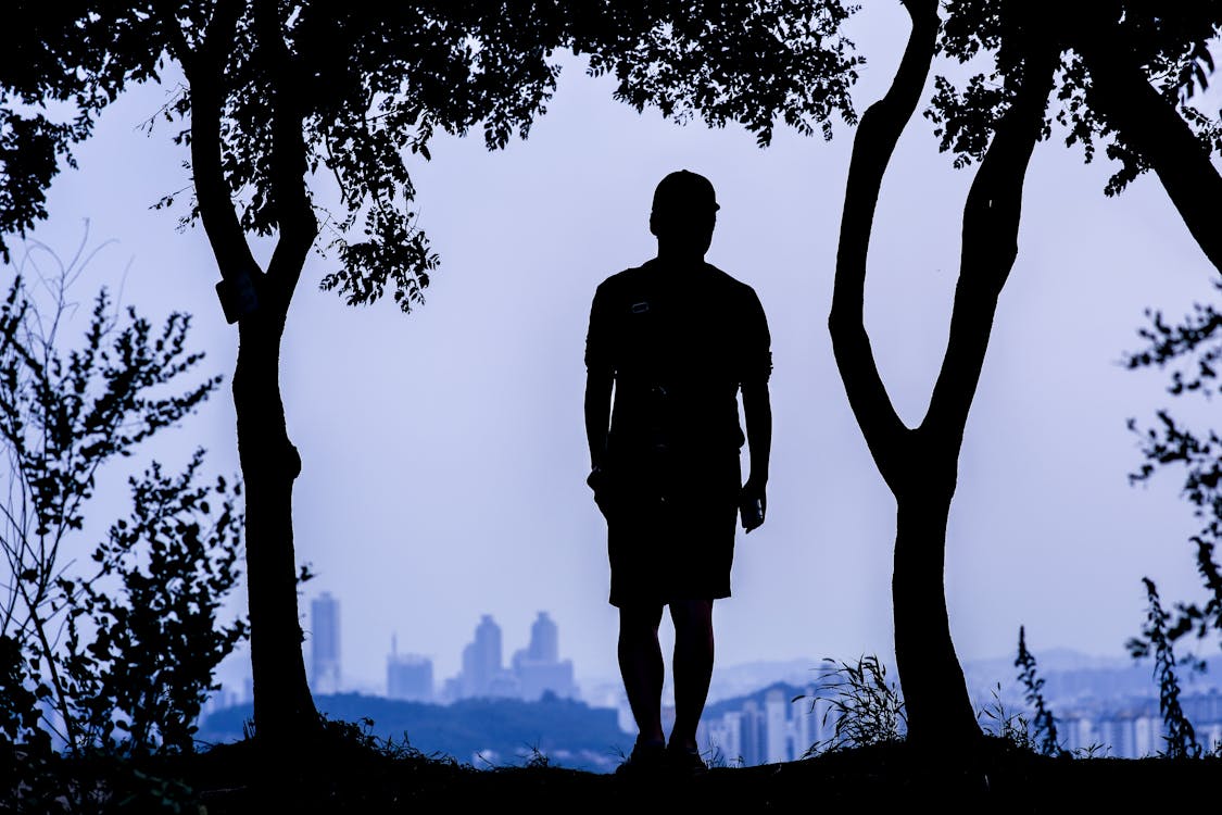 Silhouette of person standing on ridge