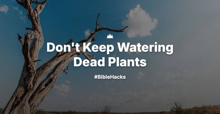 Don’t Keep Watering Dead Plants