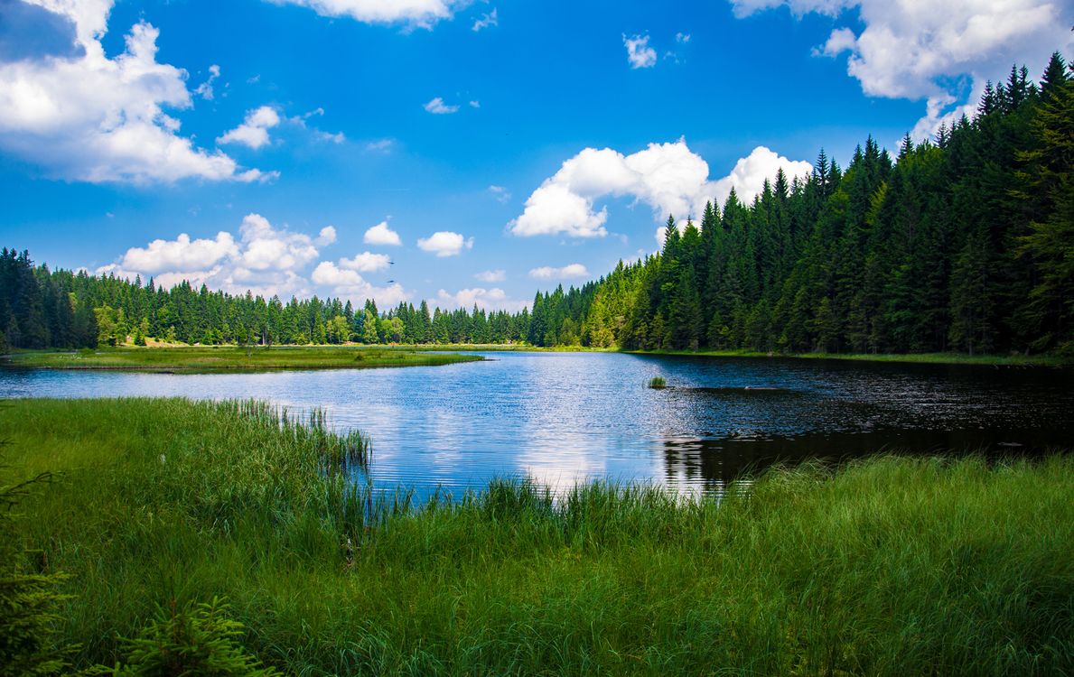 The Power of God’s Faithfulness as Your Unshakeable Foundation