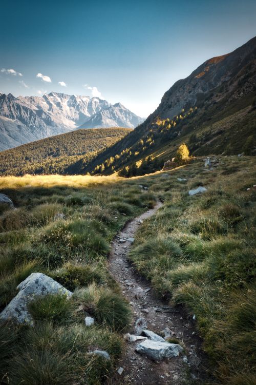The Power of Meditating on God’s Word Day and Night