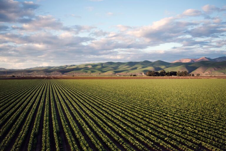The Power of Persistent Goodness to Reap a Harvest