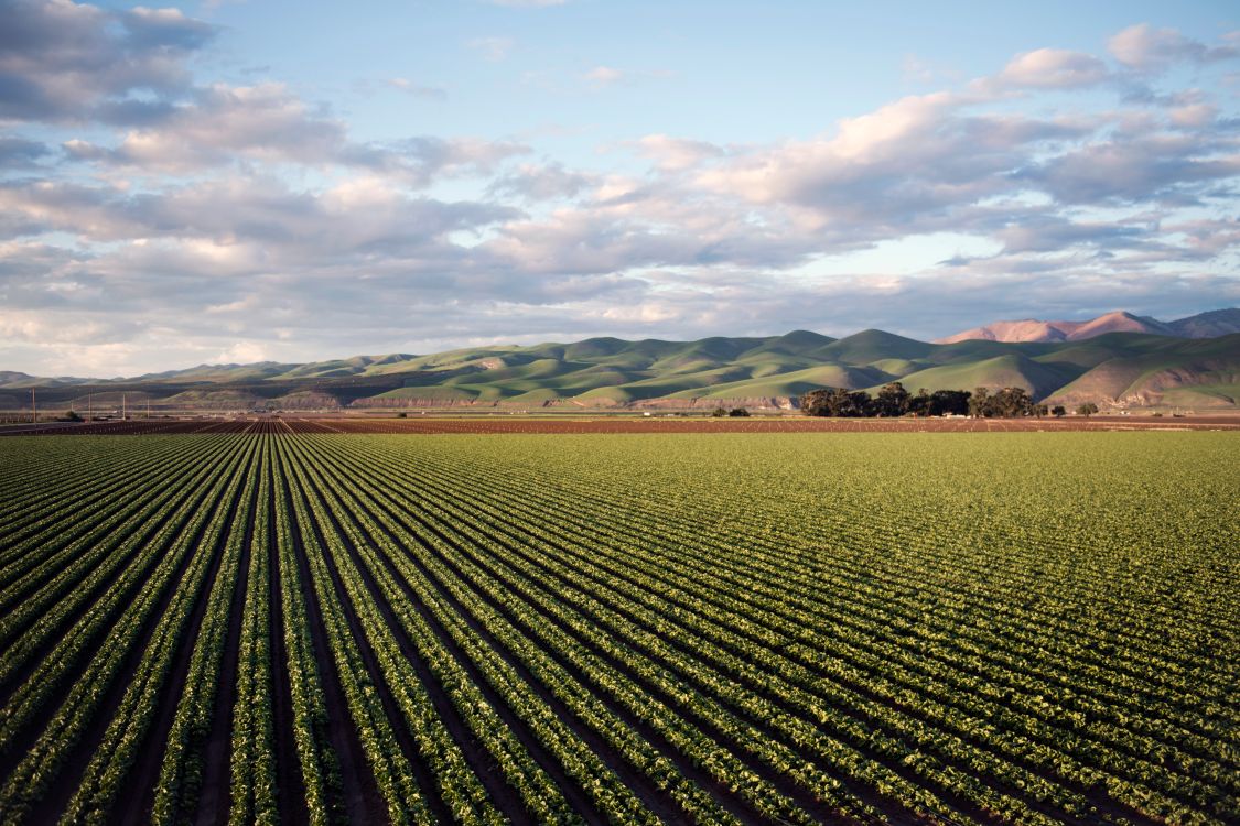 The Power of Persistent Goodness to Reap a Harvest