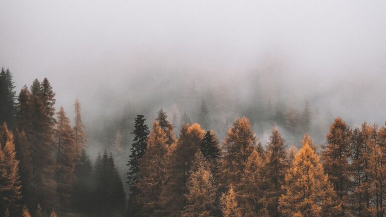 The Power of Prayer in the Spirit