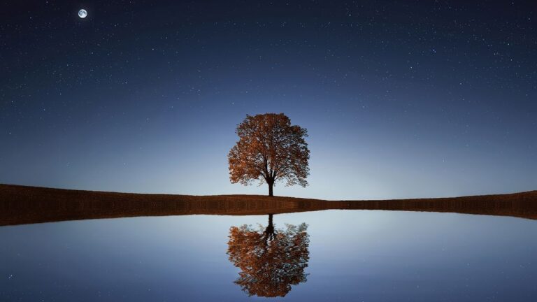 The Power of Truth to Set You Free
