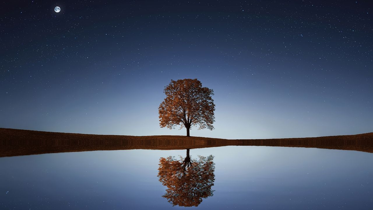 The Power of Truth to Set You Free